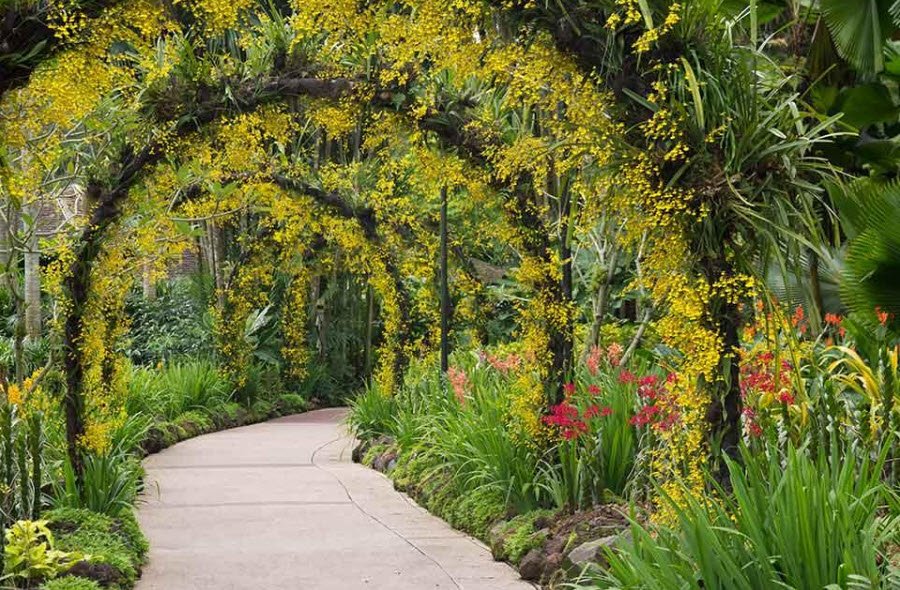 Giardino Botanico Santicelli, Soverato, Italy, Italy